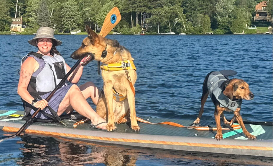 Walking Gose the German Shepherd